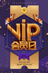 时尚大气VIP会员海报