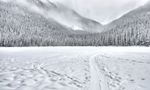 雪