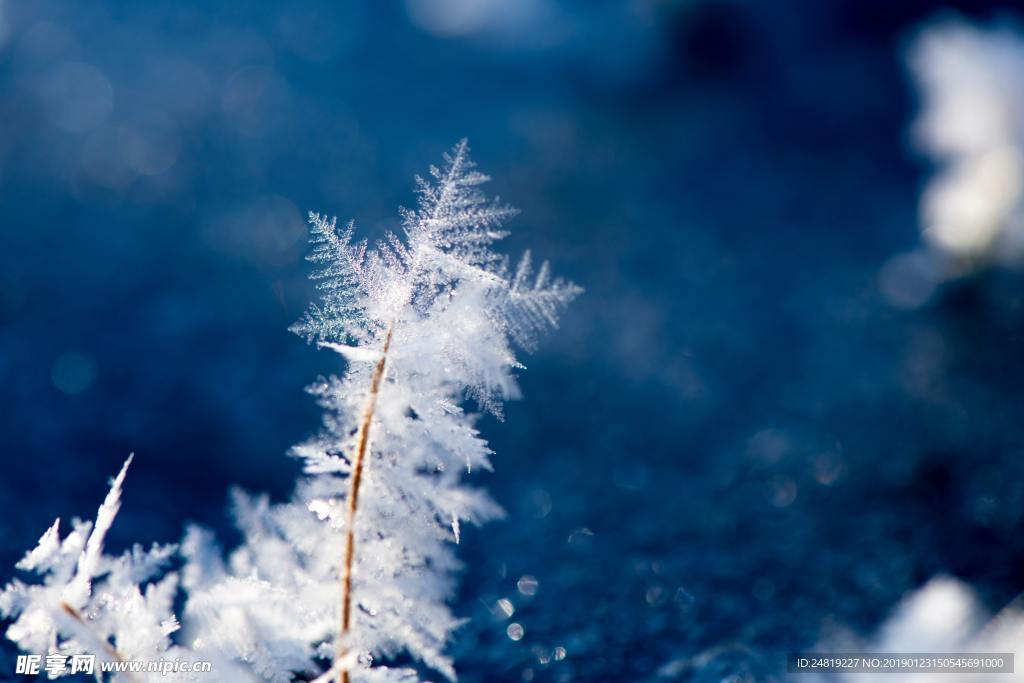 雪景