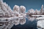 雪景