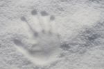 雪