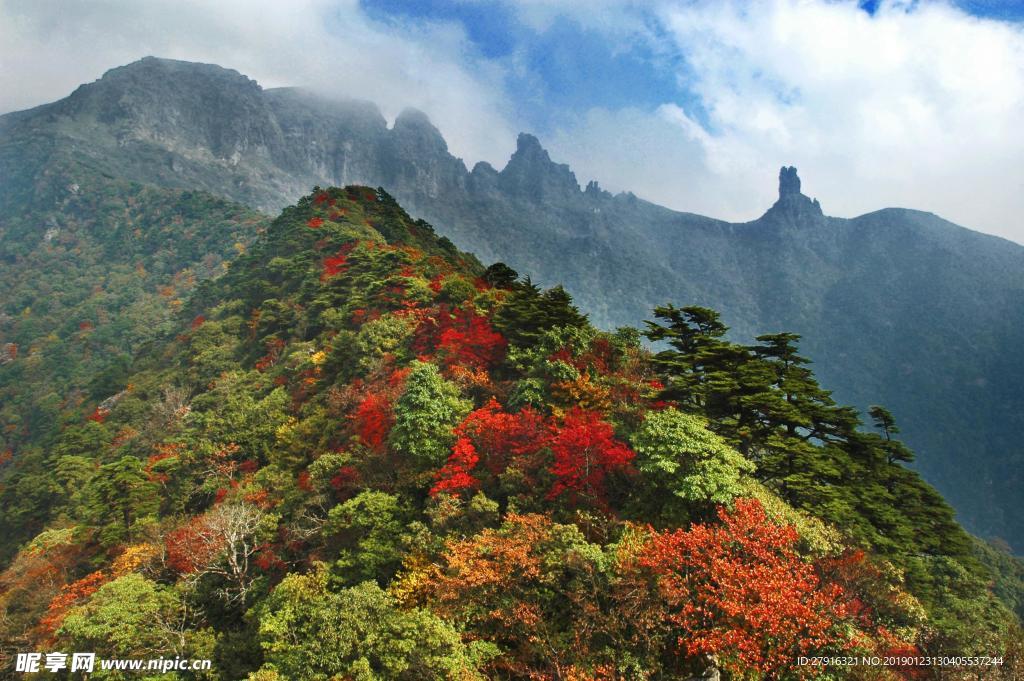 山