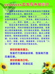卫生服务站简介
