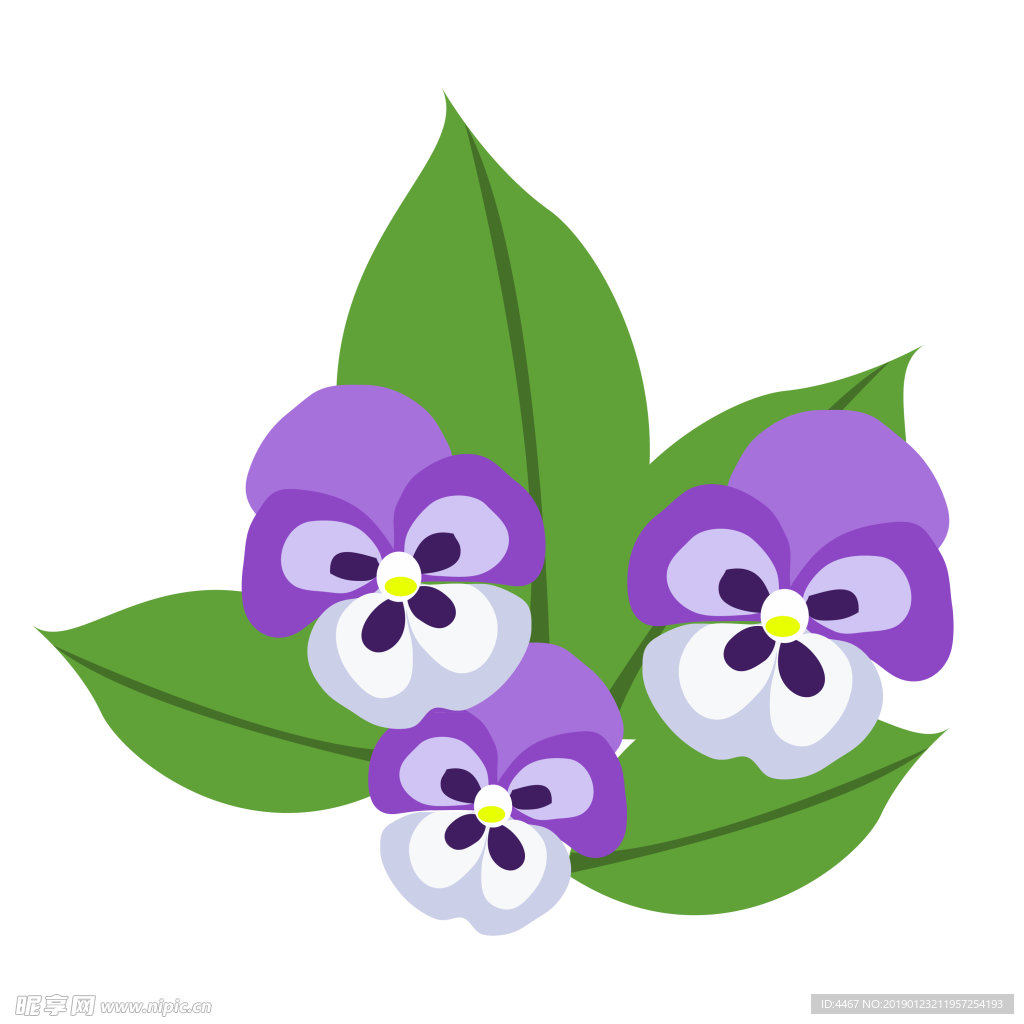 矢量花卉