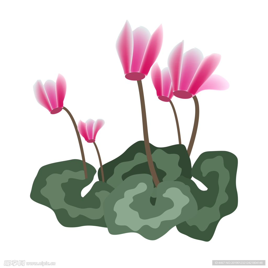 矢量花卉