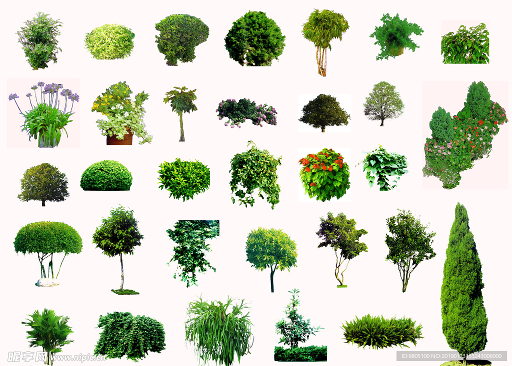 园林景观植物树木免抠素材