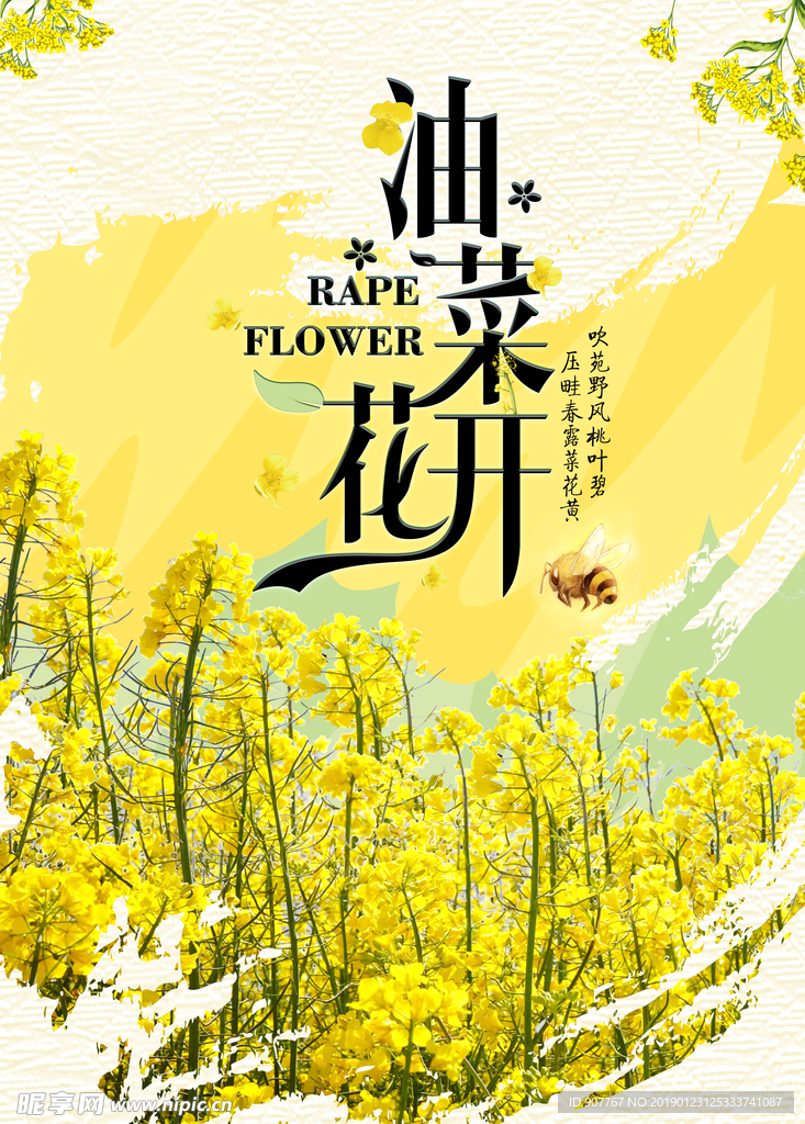 油菜花开