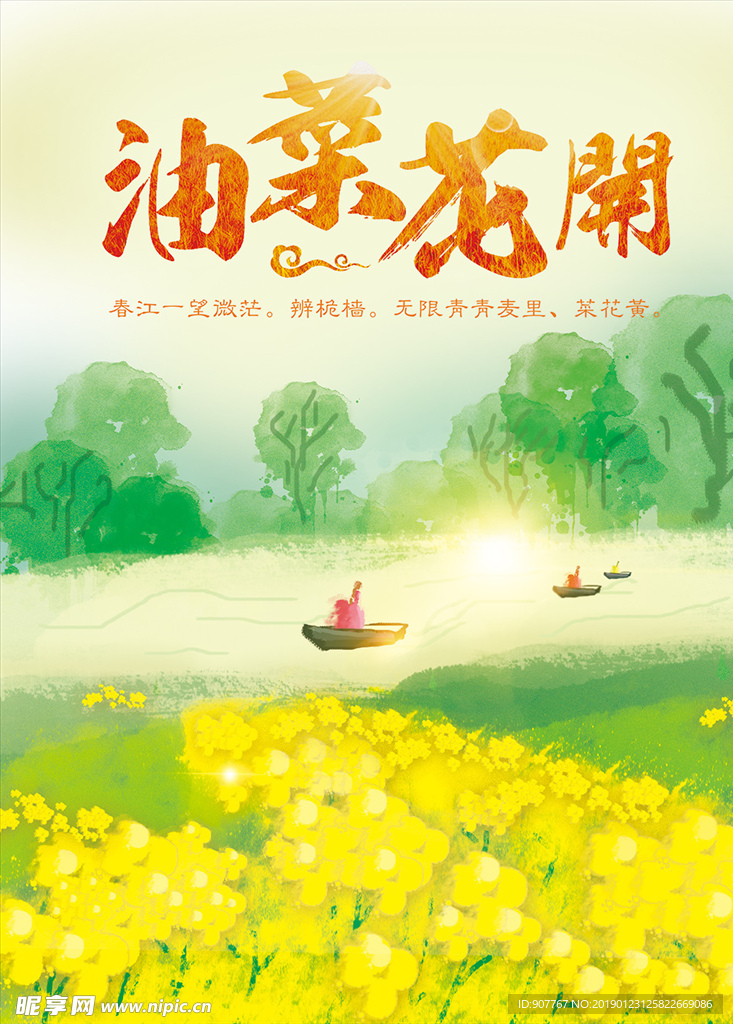 油菜花节