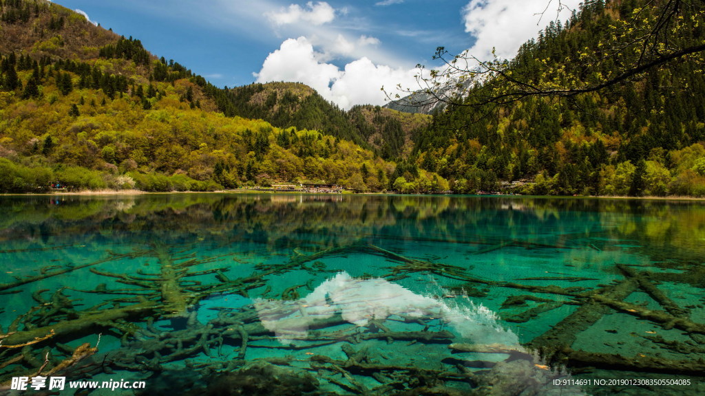 青海湖