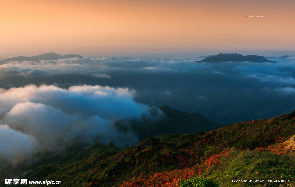 高山云雾