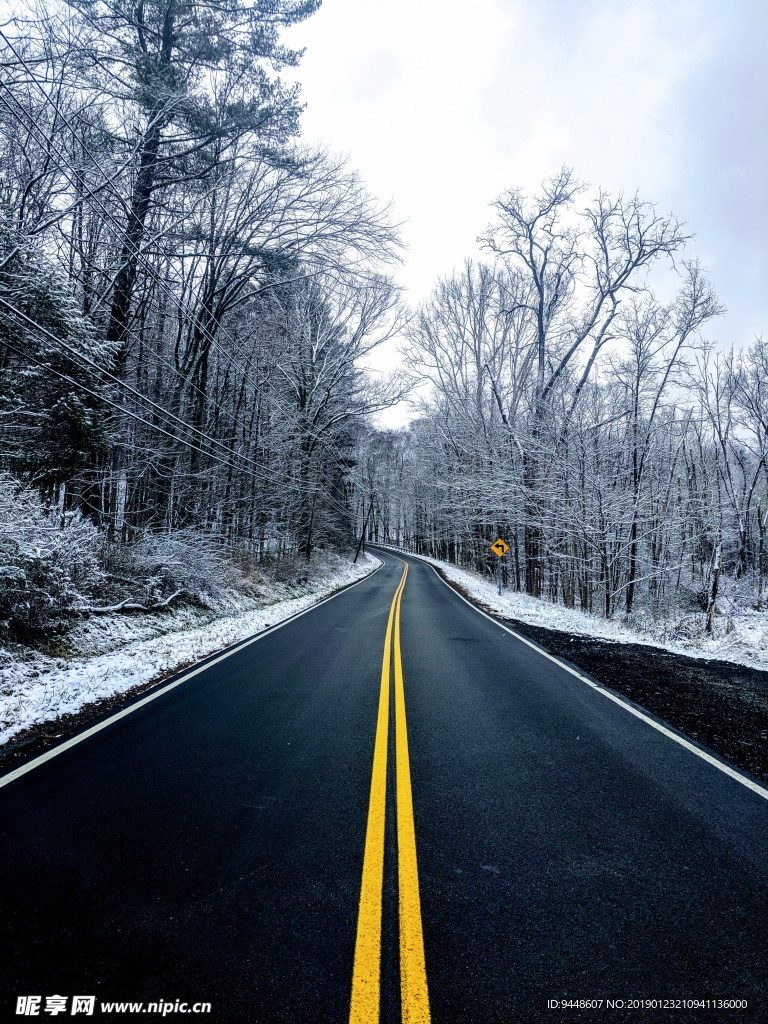 树林公路雪景图片