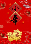 小年  猪年   新年