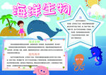 海洋小报