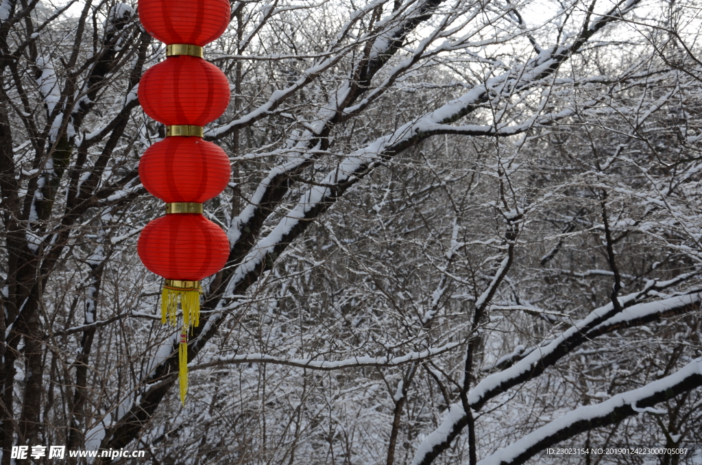 雪天红灯笼