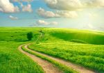 路 草地 天空云 绿色的风景图