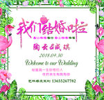 森系婚礼  火烈鸟  婚礼主题