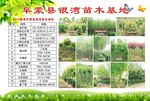 宣传彩页