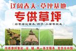 宣传彩页