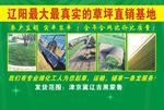 宣传彩页