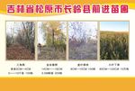 宣传彩页