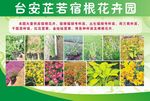宣传彩页
