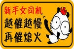 女新手