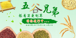 五谷杂粮促销