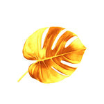 金叶子
