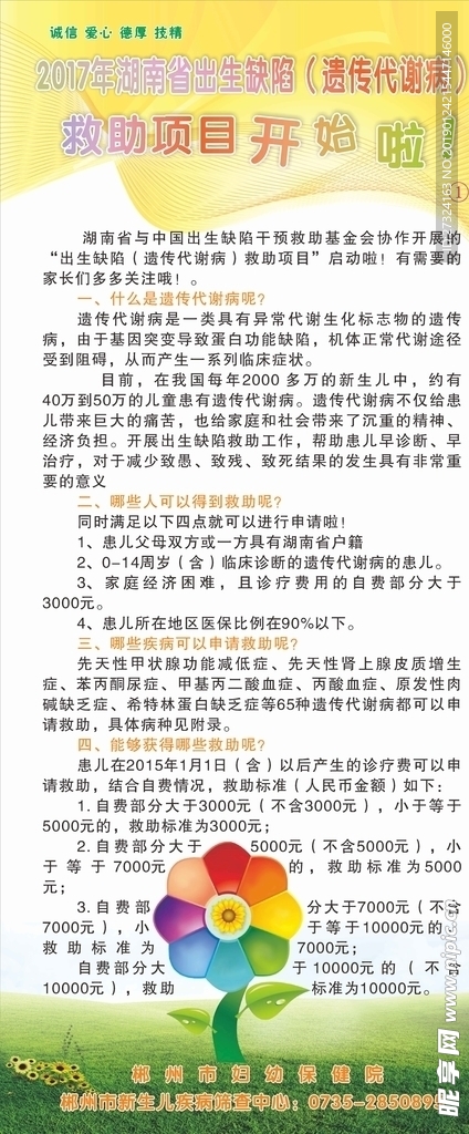 出生缺陷救助展架