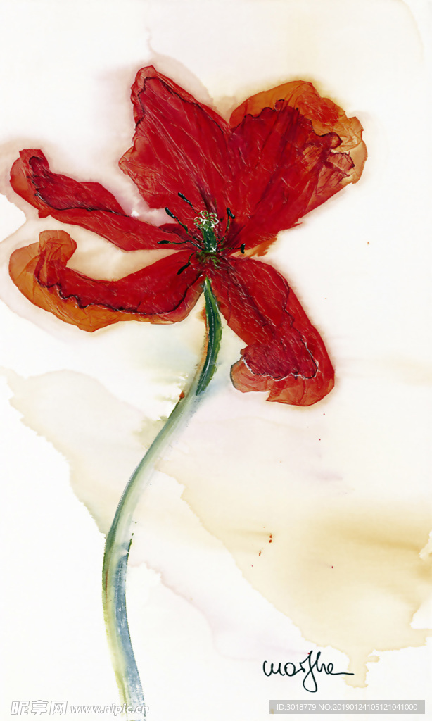 玄关花纹