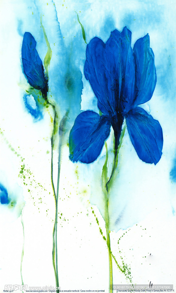 玄关花纹