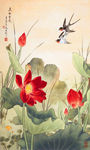 荷花
