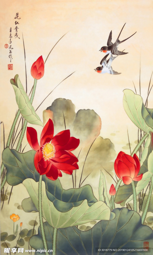荷花
