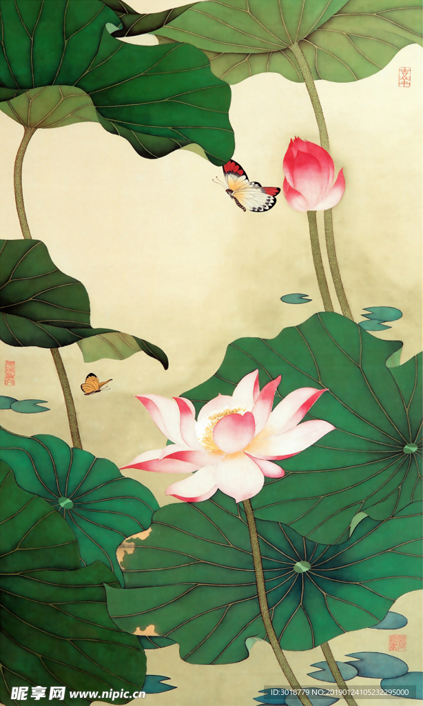 荷花