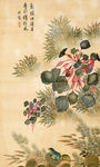 花鸟