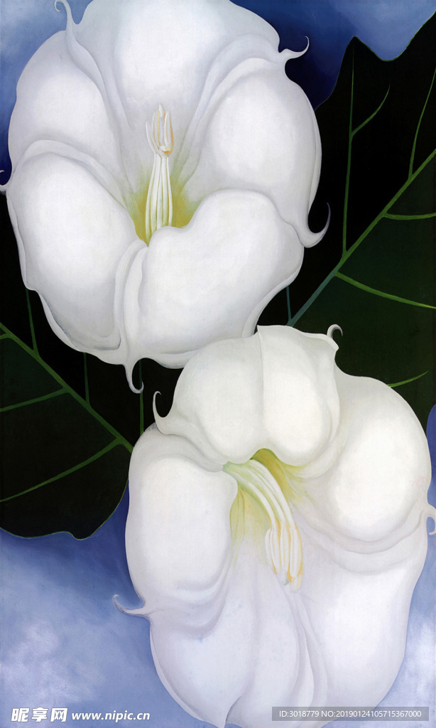 玄关花纹