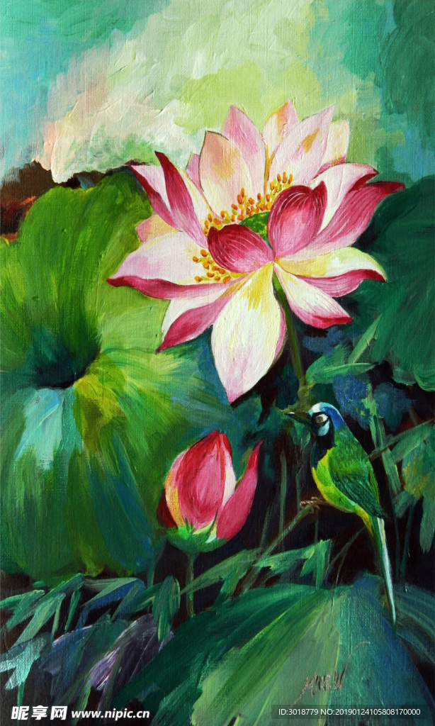 荷花
