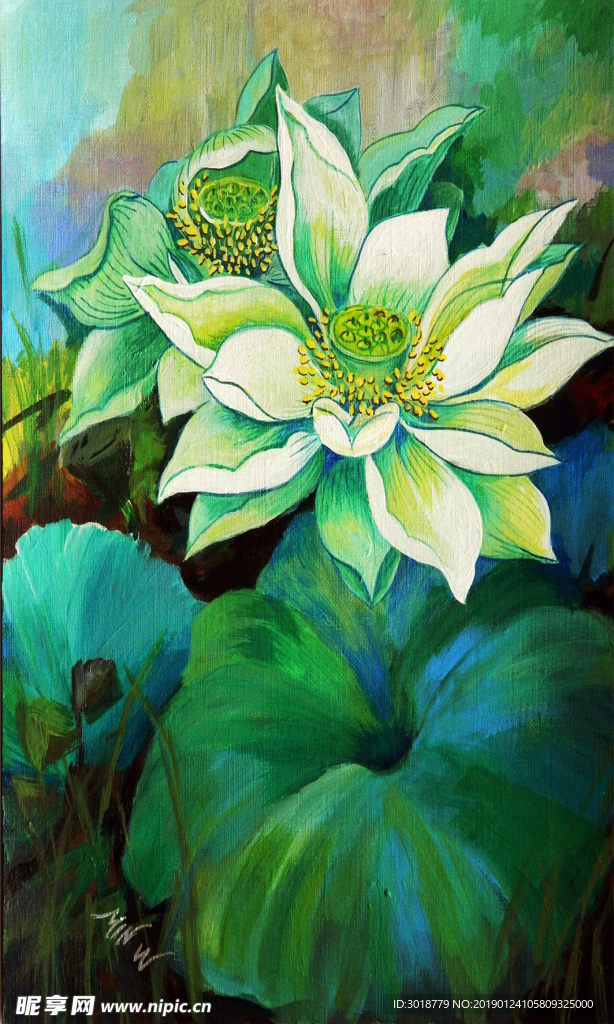 荷花
