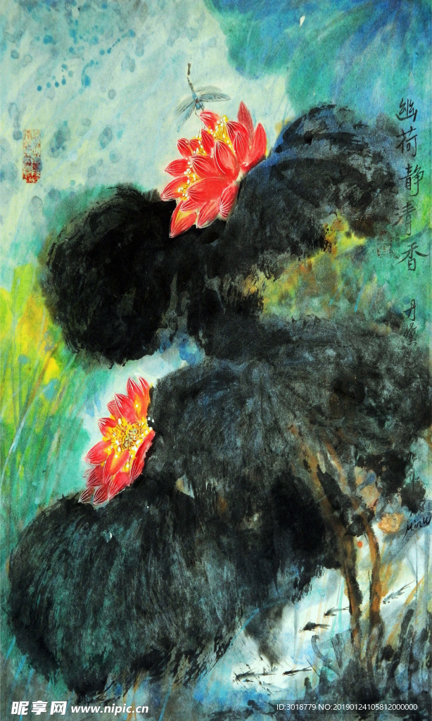 荷花