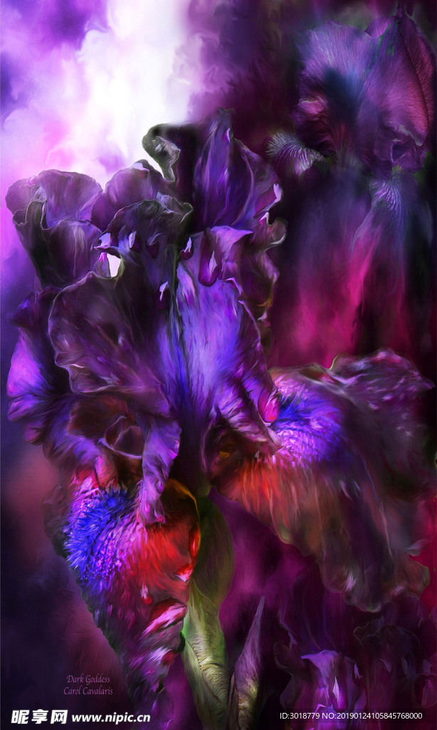 玄关花纹