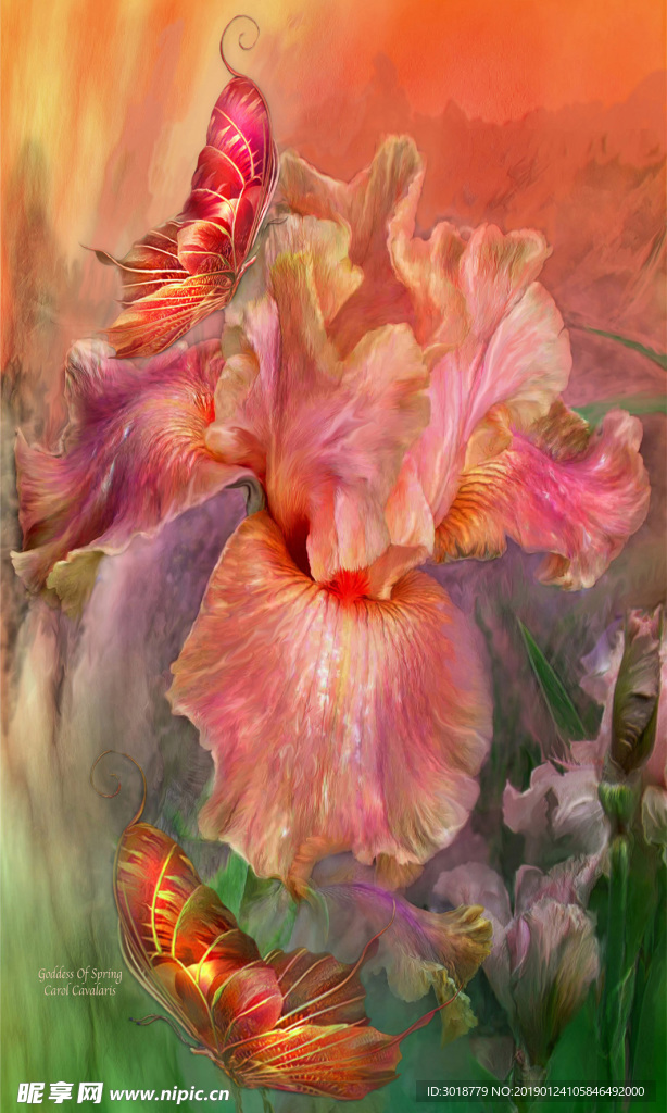 玄关花纹