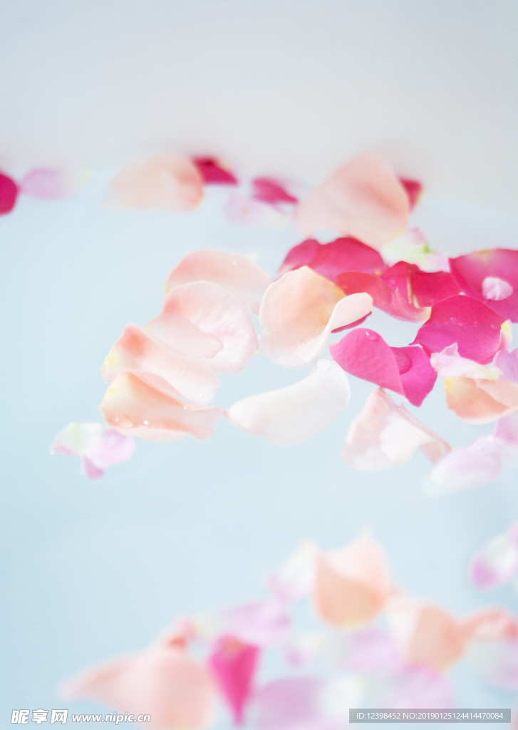 玫瑰花瓣