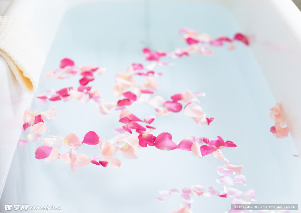 玫瑰花瓣