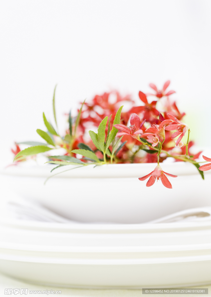 红色鲜花