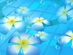 绘画的花朵漂浮在泳池上的图片