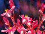 抽象的花朵花丛素材图片