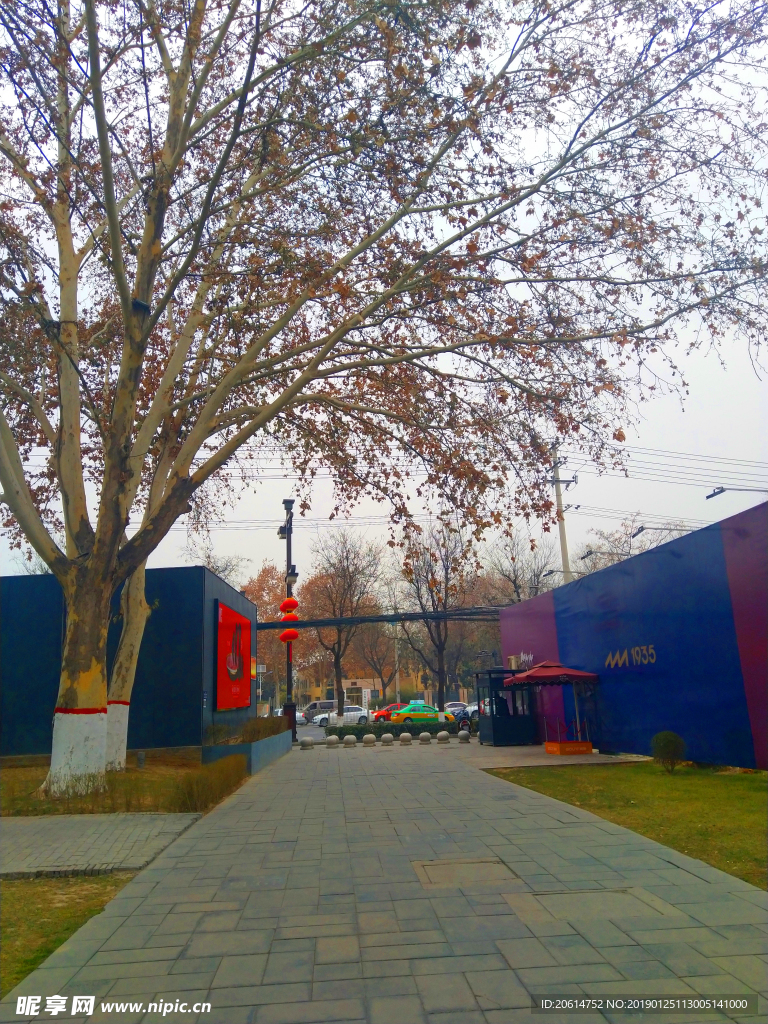 城市街道风景