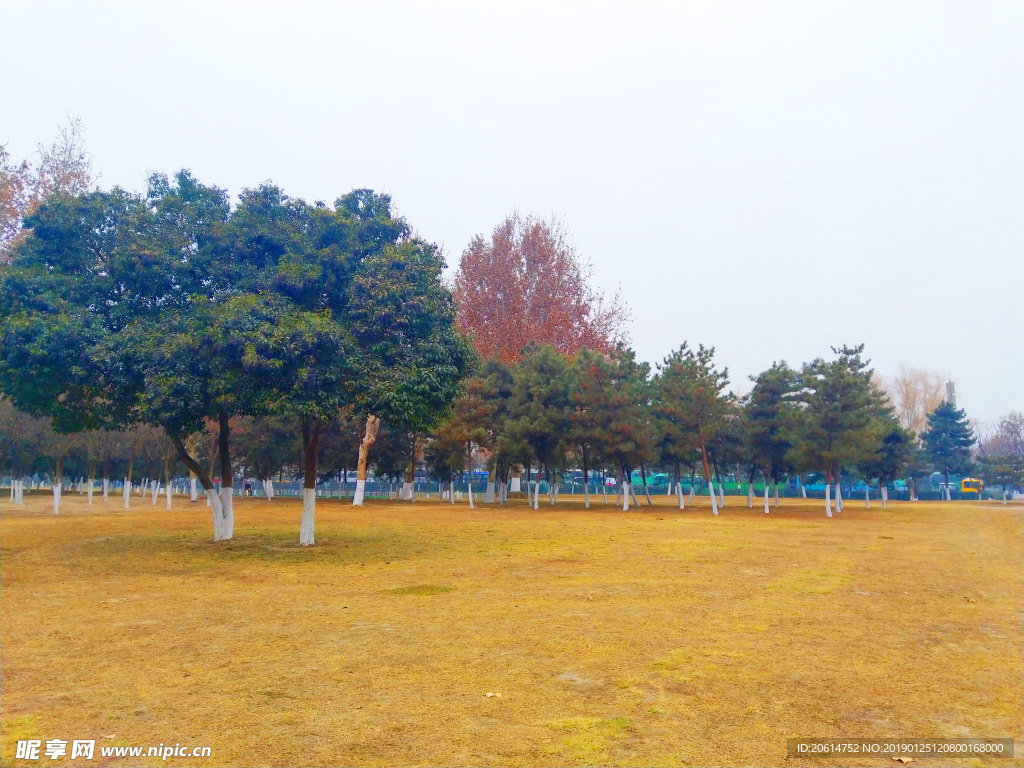 美丽的公园风景