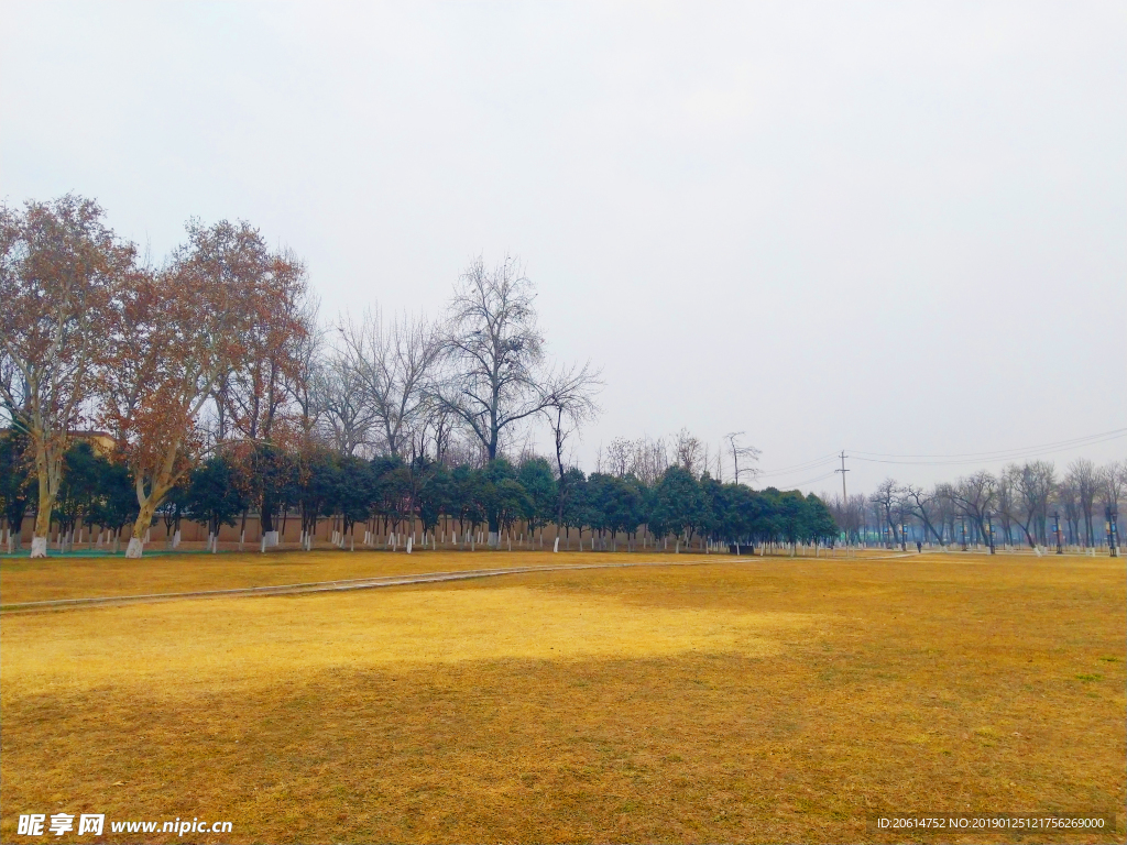 深秋时节的公园风景