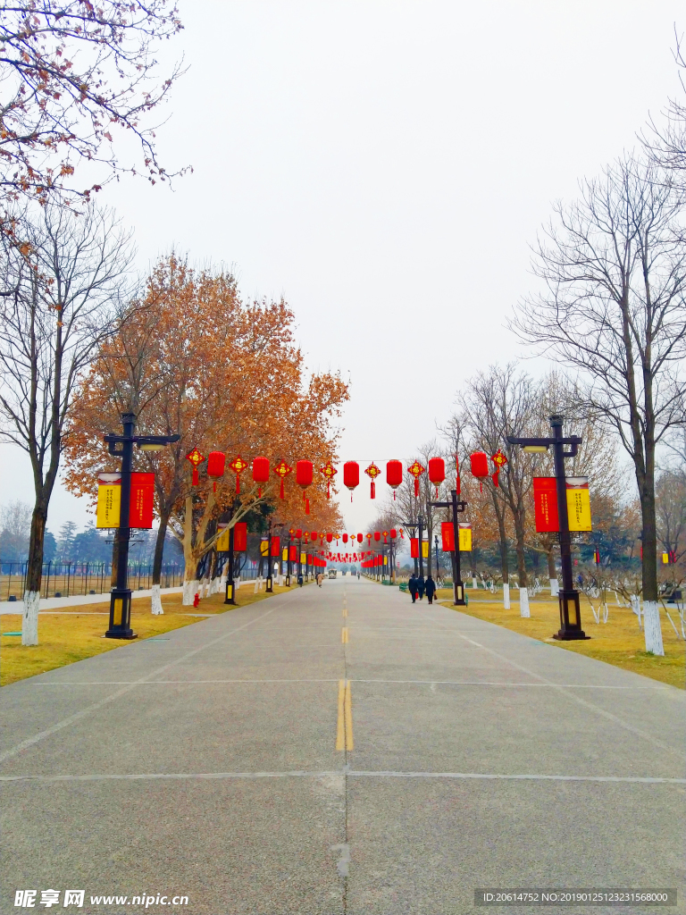 美丽的公园风景